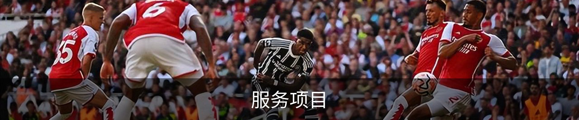 服务项目